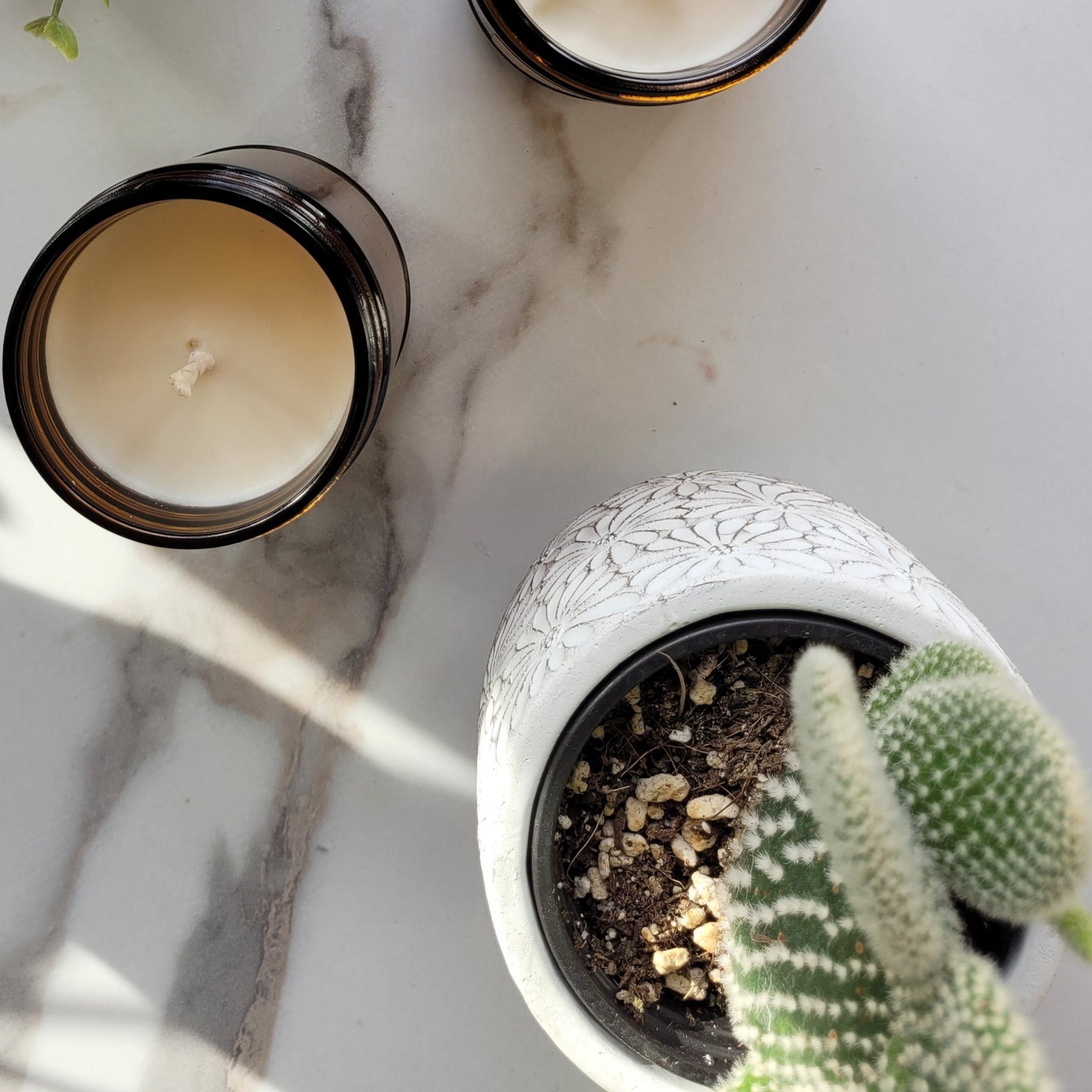 Whistler Blackcomb Classic Ski Candle