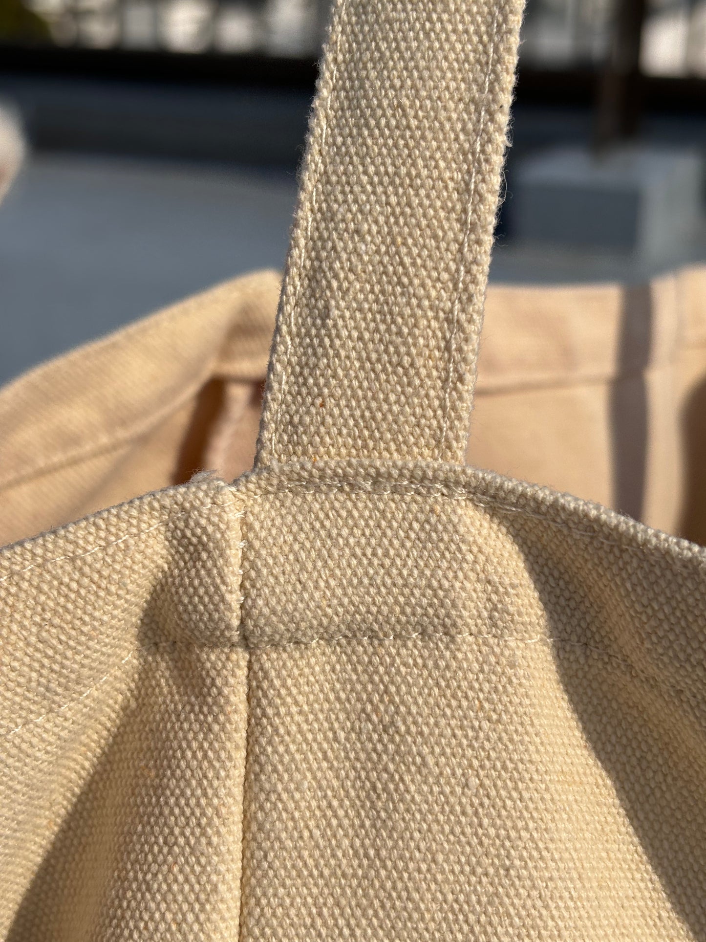 2 Way Oversized Snowbird Ski Tote Bag