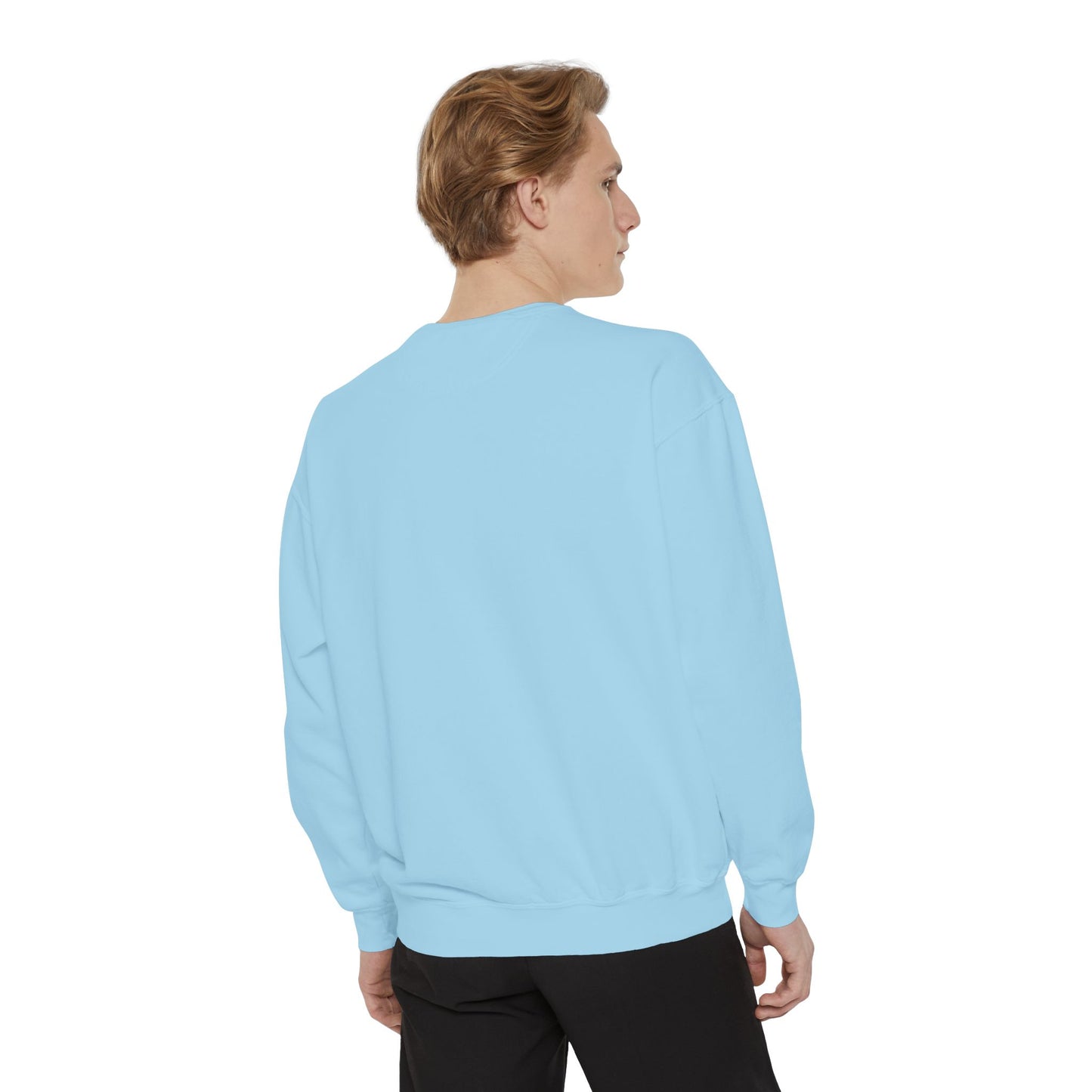 Rozanov Hollander Sweatshirt Crewneck