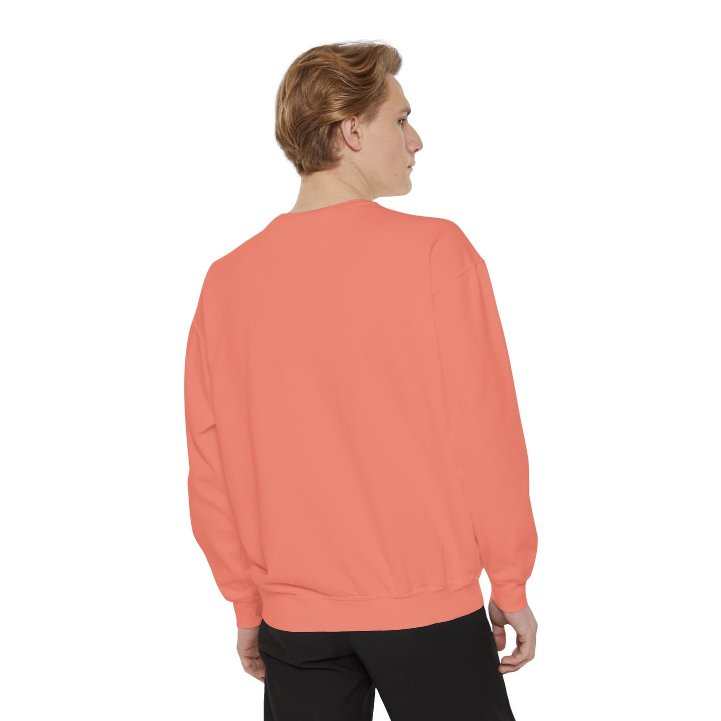 Rozanov Hollander Sweatshirt Crewneck